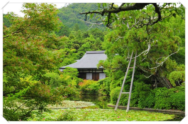 Ryoanji, Ninnaji,  Kyoto