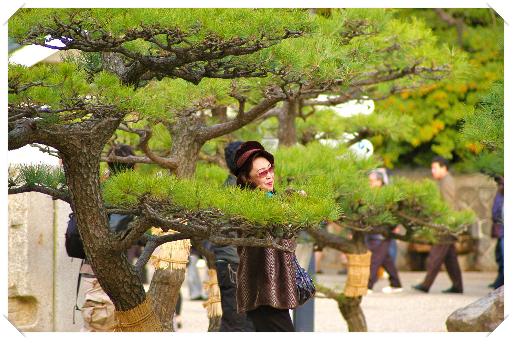 Osaka Castle, Osaka