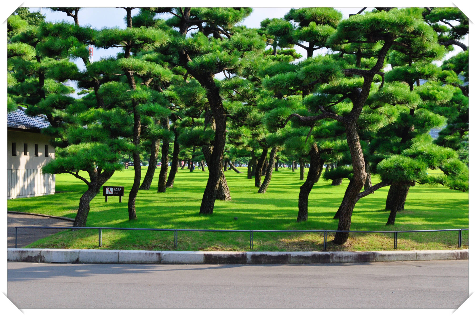 Imperial Palace, Tokyo